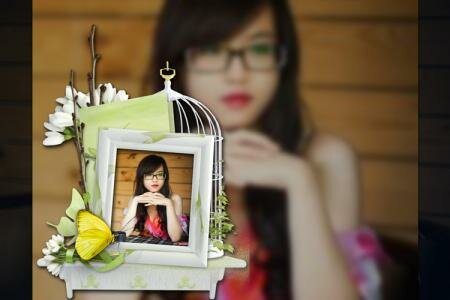 Ghép khung ảnh lồng chim