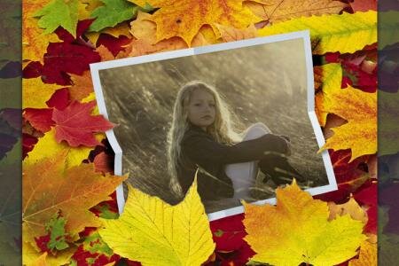 Khung ảnh lá vàng