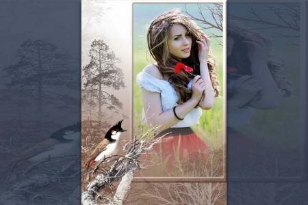 Khung ảnh chim chào mào