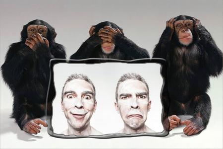 Ghép khung ảnh 3 chú khỉ vui nhộn