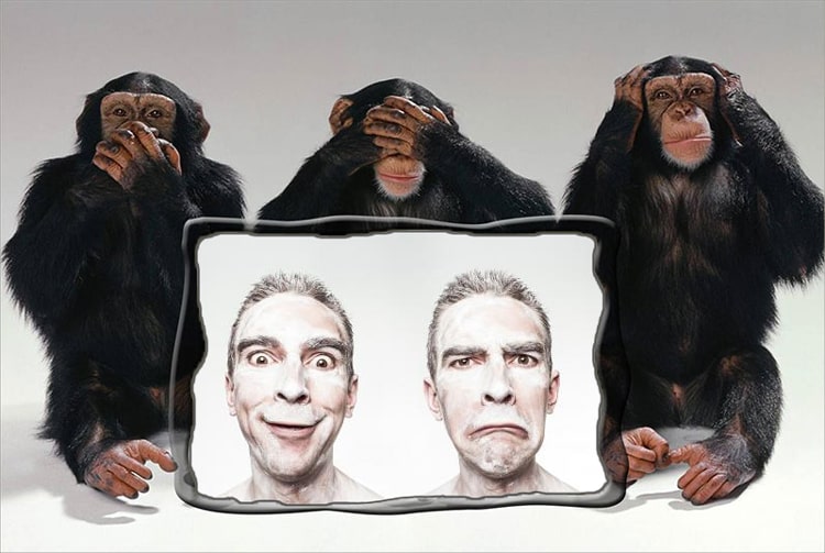 Ghép khung ảnh 3 chú khỉ: Bạn muốn sở hữu một bức ảnh vô cùng dễ thương và hài hước? Bức ảnh về ghép khung ảnh 3 chú khỉ sẽ không làm bạn thất vọng. Chúng sẽ đem đến cho bạn nụ cười và cảm giác vui vẻ nhất với sức hút bất tận.