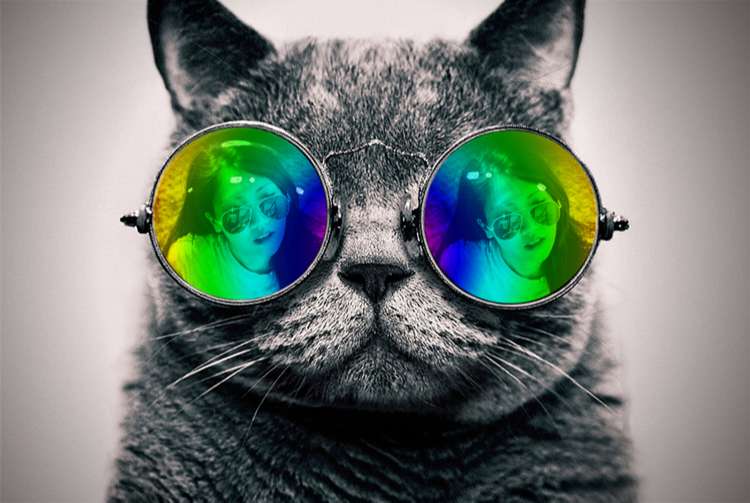 Khung ảnh đôi mắt kính mèo: Những khung ảnh đôi mắt kính mèo sẽ mang đến cho bạn cảm giác đáng yêu và dễ thương. Hãy lựa chọn cho mình bộ khung ảnh đáng yêu này và trang trí cho bức ảnh của mình thêm phần sinh động nhé!